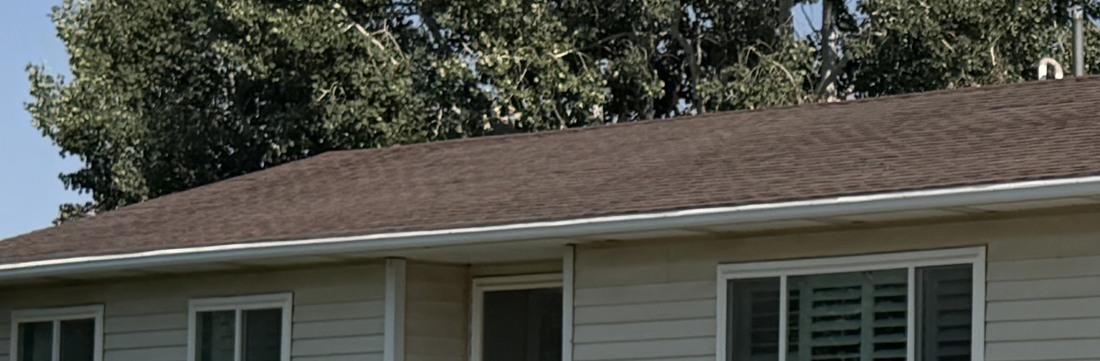 Section of an asphalt shingle roof not yet treated — faded and chalky